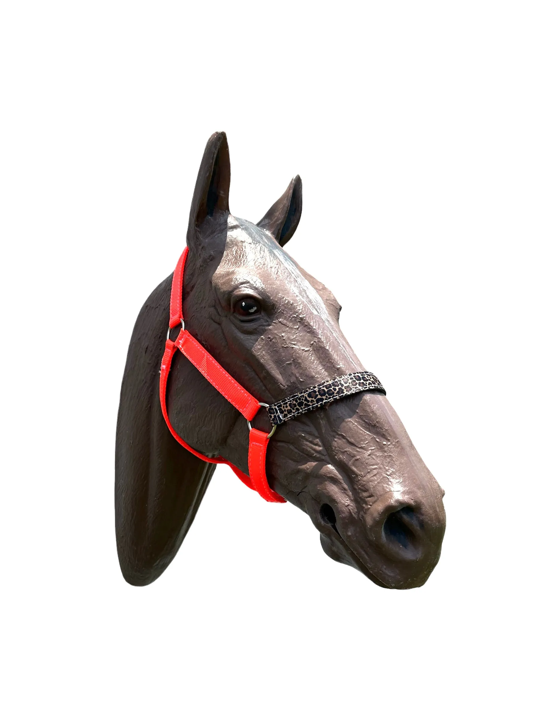 Orange cheetah nylon horse halter