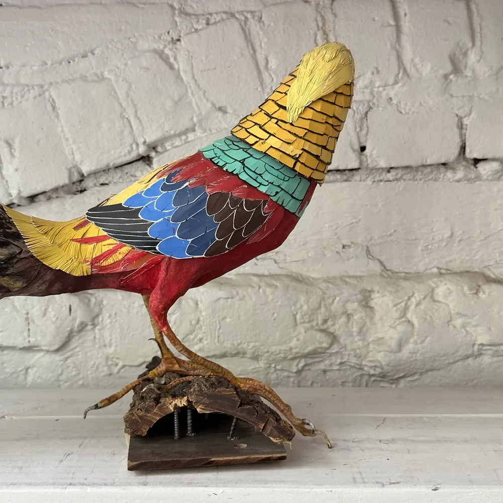 Papier-Mâché Golden Pheasant (#6)